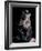 The Kiss-Auguste Rodin-Framed Photo