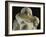 The Kiss-Auguste Rodin-Framed Art Print