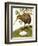 The Kiwi-R. B. Davis-Framed Giclee Print