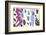 The Knife Thrower, pl. XV from Jazz, c.1943-Henri Matisse-Framed Art Print