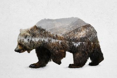 The Kodiak Brown Bear Art Print Davies Babies Art Com