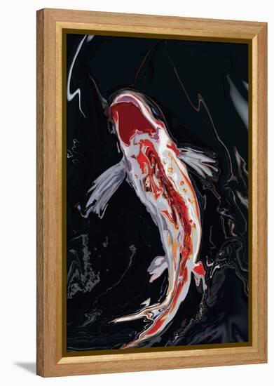 The Koi-Rabi Khan-Framed Stretched Canvas