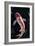 The Koi-Rabi Khan-Framed Art Print