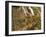 The Kuang Si Fall, Laos-Gavriel Jecan-Framed Photographic Print