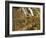 The Kuang Si Fall, Laos-Gavriel Jecan-Framed Photographic Print
