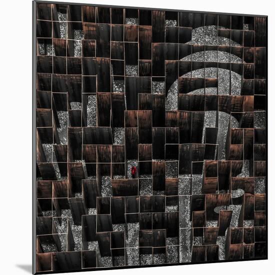 the labyrinth-Gilbert Claes-Mounted Photographic Print