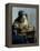 The Lace Maker, C1664-Johannes Vermeer-Framed Premier Image Canvas