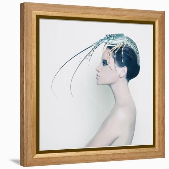 The Lady and the Hummer-Haute Couture-Framed Stretched Canvas