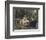 The Lady of Shalott-John William Waterhouse-Framed Giclee Print