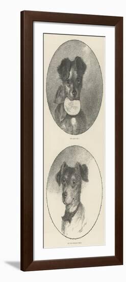 The Lady's Pet, But the Burglar's Dread-null-Framed Giclee Print