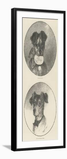 The Lady's Pet, But the Burglar's Dread-null-Framed Giclee Print