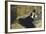 The Lady with Fans, 1873-Edouard Manet-Framed Giclee Print