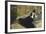 The Lady with Fans, 1873-Edouard Manet-Framed Giclee Print