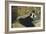 The Lady with Fans, 1873-Edouard Manet-Framed Giclee Print