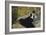 The Lady with the Fans (Nina De Callias), 1873-Edouard Manet-Framed Giclee Print