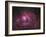 The Lagoon Nebula-Stocktrek Images-Framed Photographic Print