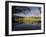 The Lake, Batsford Hall, Batsford Arboretum, the Cotswolds-David Hughes-Framed Photographic Print