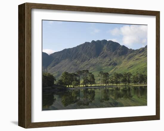 The Lake Buttermere Pines with Haystacks, Lake District National Park, Cumbria, England, UK, Europe-James Emmerson-Framed Photographic Print