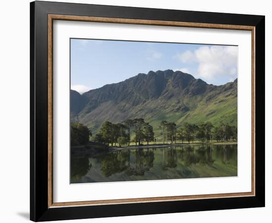 The Lake Buttermere Pines with Haystacks, Lake District National Park, Cumbria, England, UK, Europe-James Emmerson-Framed Photographic Print