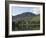 The Lake Buttermere Pines with Haystacks, Lake District National Park, Cumbria, England, UK, Europe-James Emmerson-Framed Photographic Print