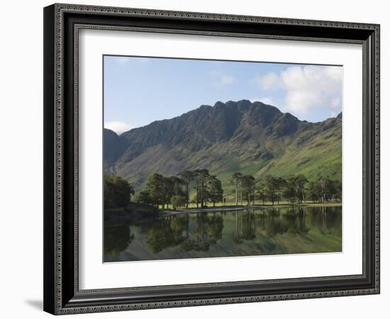 The Lake Buttermere Pines with Haystacks, Lake District National Park, Cumbria, England, UK, Europe-James Emmerson-Framed Photographic Print