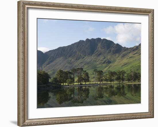 The Lake Buttermere Pines with Haystacks, Lake District National Park, Cumbria, England, UK, Europe-James Emmerson-Framed Photographic Print