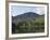 The Lake Buttermere Pines with Haystacks, Lake District National Park, Cumbria, England, UK, Europe-James Emmerson-Framed Photographic Print