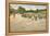 The Lake for Miniature Yachts-William Merritt Chase-Framed Stretched Canvas