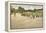 The Lake for Miniature Yachts-William Merritt Chase-Framed Stretched Canvas