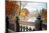 The Lake in Central Park, Manhattan, New York City-Sabine Jacobs-Mounted Photographic Print