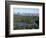 The Lake in Central Park-Rudy Sulgan-Framed Photographic Print