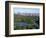 The Lake in Central Park-Rudy Sulgan-Framed Photographic Print