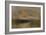 The Lake, Petworth, Sunrise-J. M. W. Turner-Framed Giclee Print