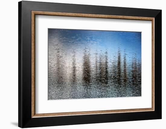 The Lake-Ursula Abresch-Framed Photographic Print