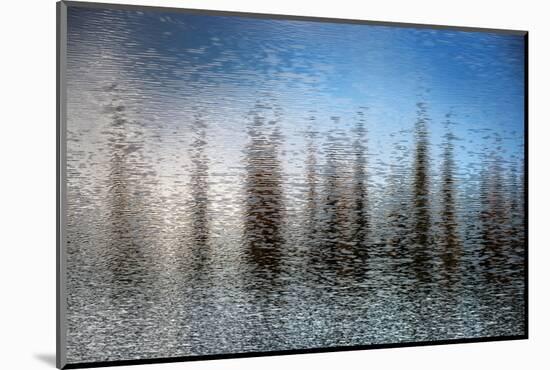 The Lake-Ursula Abresch-Mounted Photographic Print