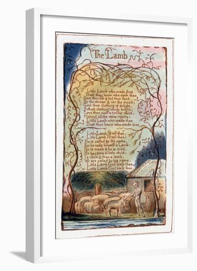 The Lamb, Illustration from 'Songs of Innocence and of Experience', C1770-1820-William Blake-Framed Giclee Print