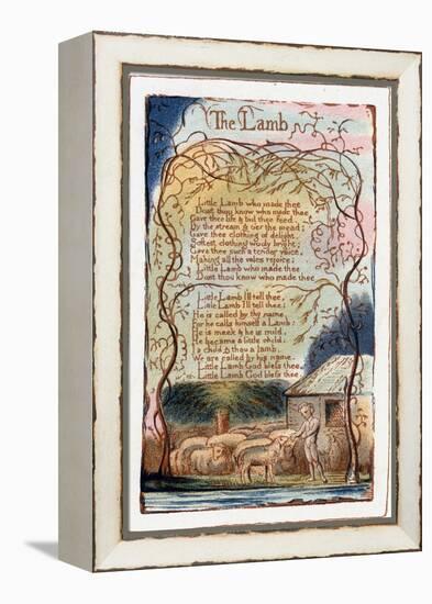 The Lamb, Illustration from 'Songs of Innocence and of Experience', C1770-1820-William Blake-Framed Premier Image Canvas