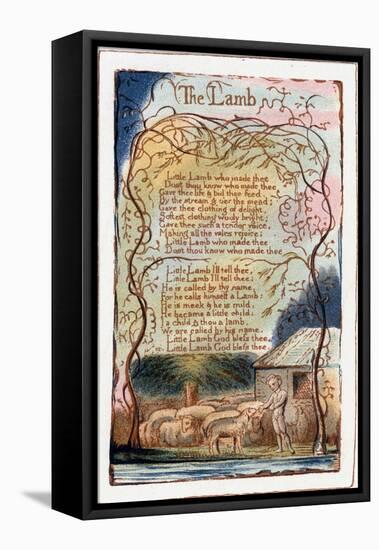 The Lamb, Illustration from 'Songs of Innocence and of Experience', C1770-1820-William Blake-Framed Premier Image Canvas