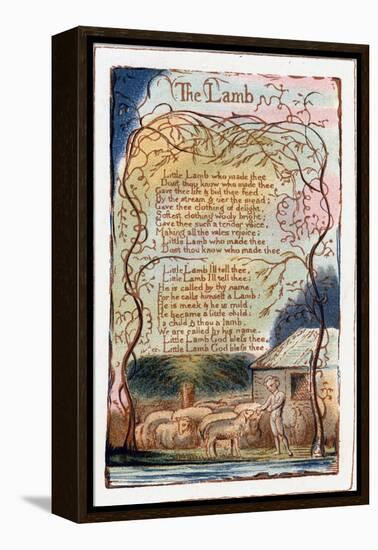 The Lamb, Illustration from 'Songs of Innocence and of Experience', C1770-1820-William Blake-Framed Premier Image Canvas
