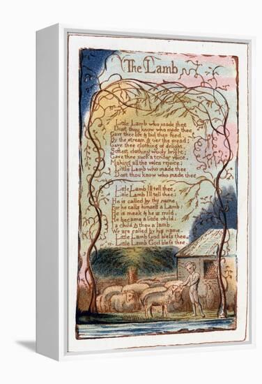 The Lamb, Illustration from 'Songs of Innocence and of Experience', C1770-1820-William Blake-Framed Premier Image Canvas