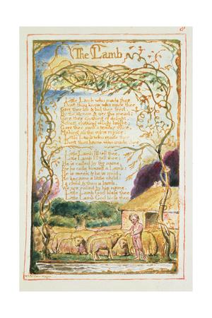 the lamb from songs of innocence by william blake the lamb from songs of innocence by william blake