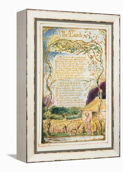 The Lamb: Plate 8 from 'Songs of Innocence and of Experience' C.1815-26-William Blake-Framed Premier Image Canvas