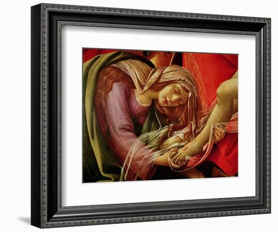 The Lamentation of Christ, Detail of Mary Magdalene and the Feet of Christ, circa 1490-Sandro Botticelli-Framed Giclee Print
