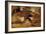 The Land of Cockayne, 1566-Pieter Bruegel the Elder-Framed Giclee Print