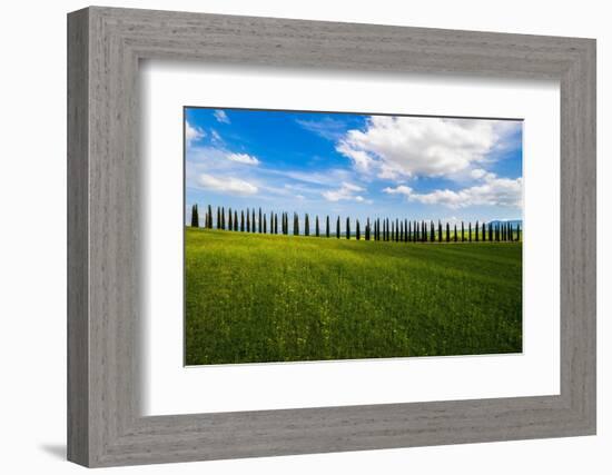 The land of cypresses-Marco Carmassi-Framed Photographic Print