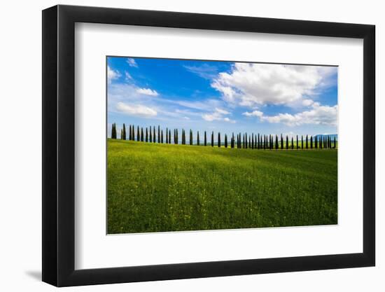 The land of cypresses-Marco Carmassi-Framed Photographic Print