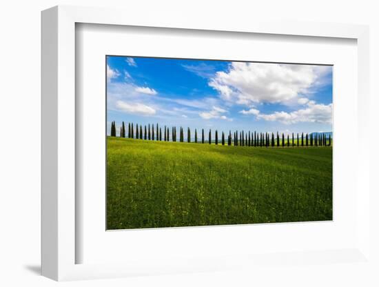 The land of cypresses-Marco Carmassi-Framed Photographic Print