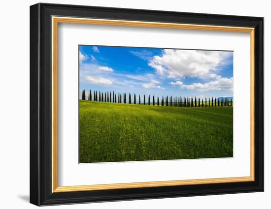 The land of cypresses-Marco Carmassi-Framed Photographic Print