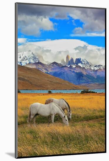 The Landscape in the National Park Torres Del Paine, Chile. Lake Laguna Azul in the Mountains. on T-kavram-Mounted Photographic Print