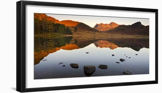 The Langdale Pikes reflected in a mirrorlike Blea Tarn at sunrise, Lake District National Park, Cum-Adam Burton-Framed Photographic Print